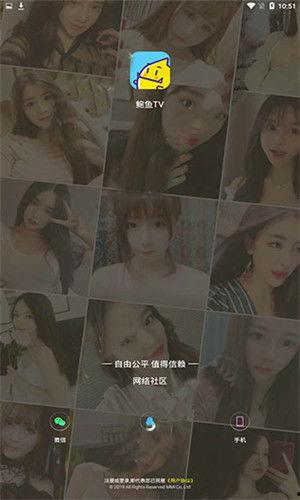 鲍鱼tv,探索美食与生活的独特视角